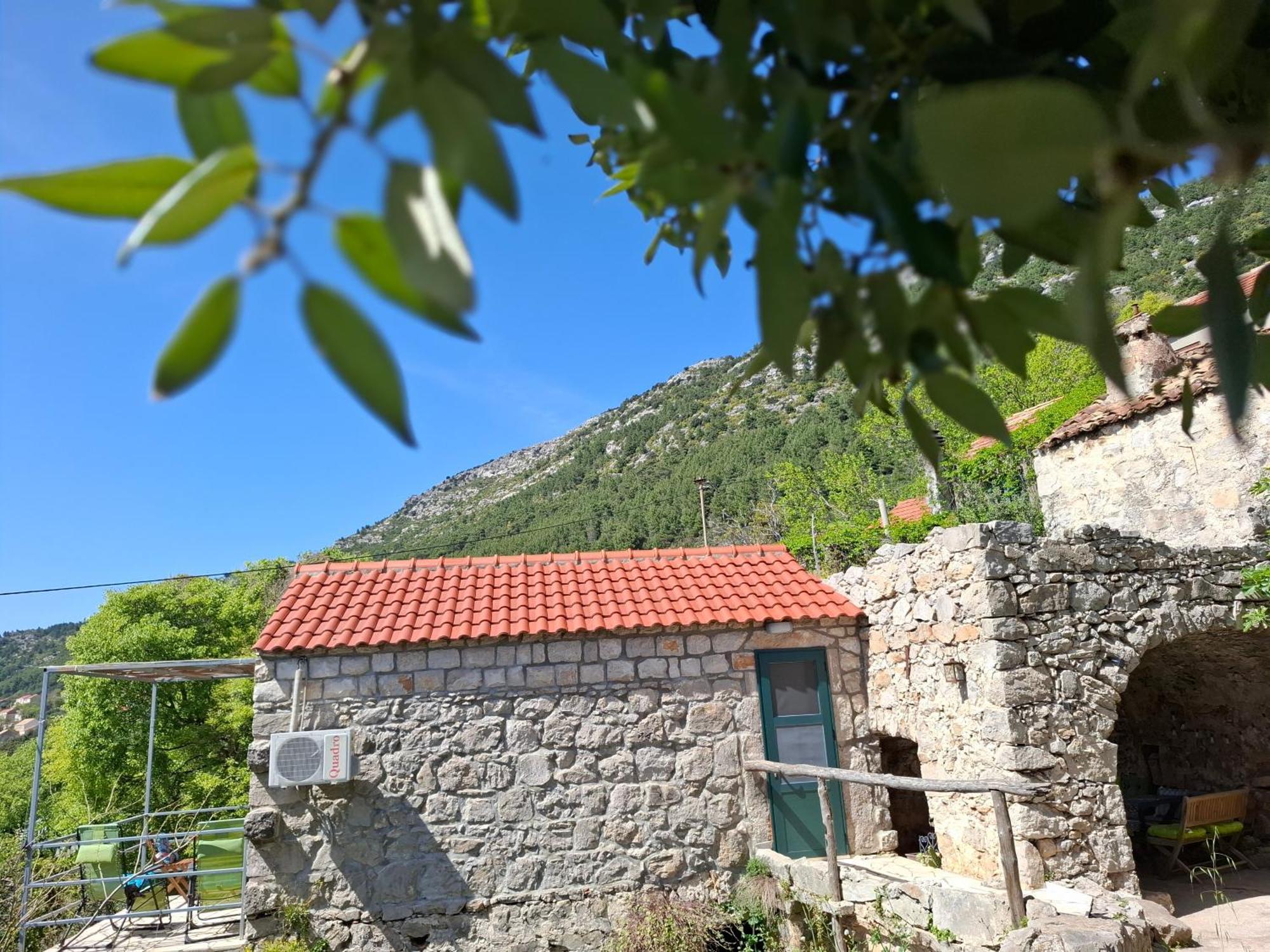 Cottage Melita The Apartment For Animal Lovers Babino Polje Exterior photo