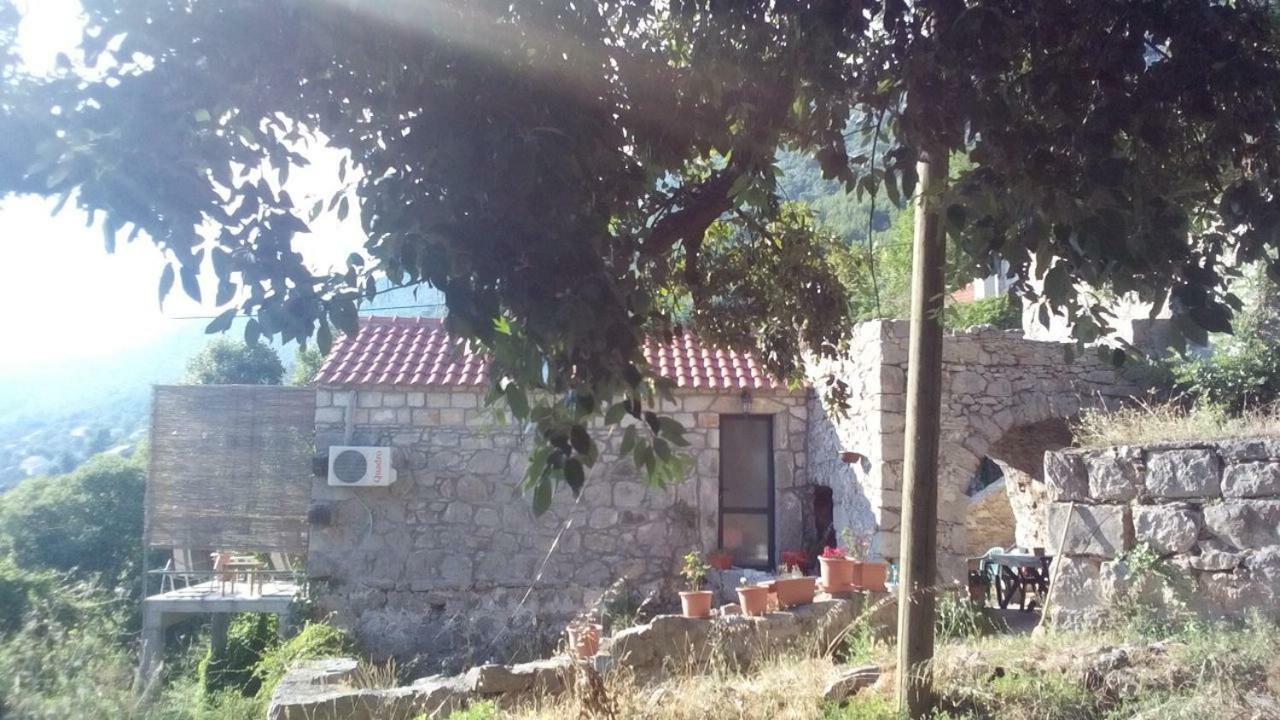 Cottage Melita The Apartment For Animal Lovers Babino Polje Exterior photo