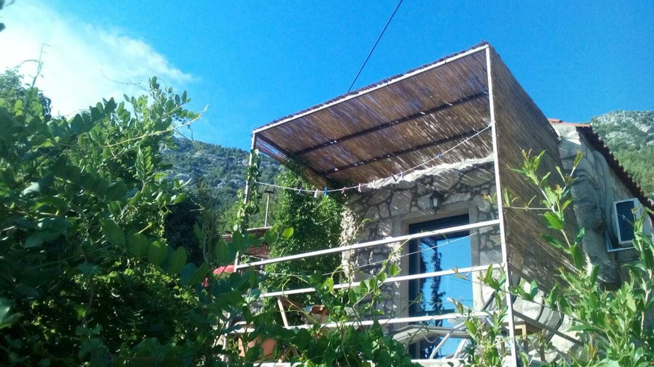 Cottage Melita The Apartment For Animal Lovers Babino Polje Exterior photo