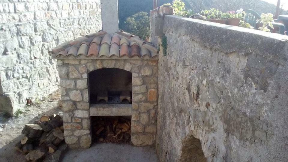 Cottage Melita The Apartment For Animal Lovers Babino Polje Exterior photo