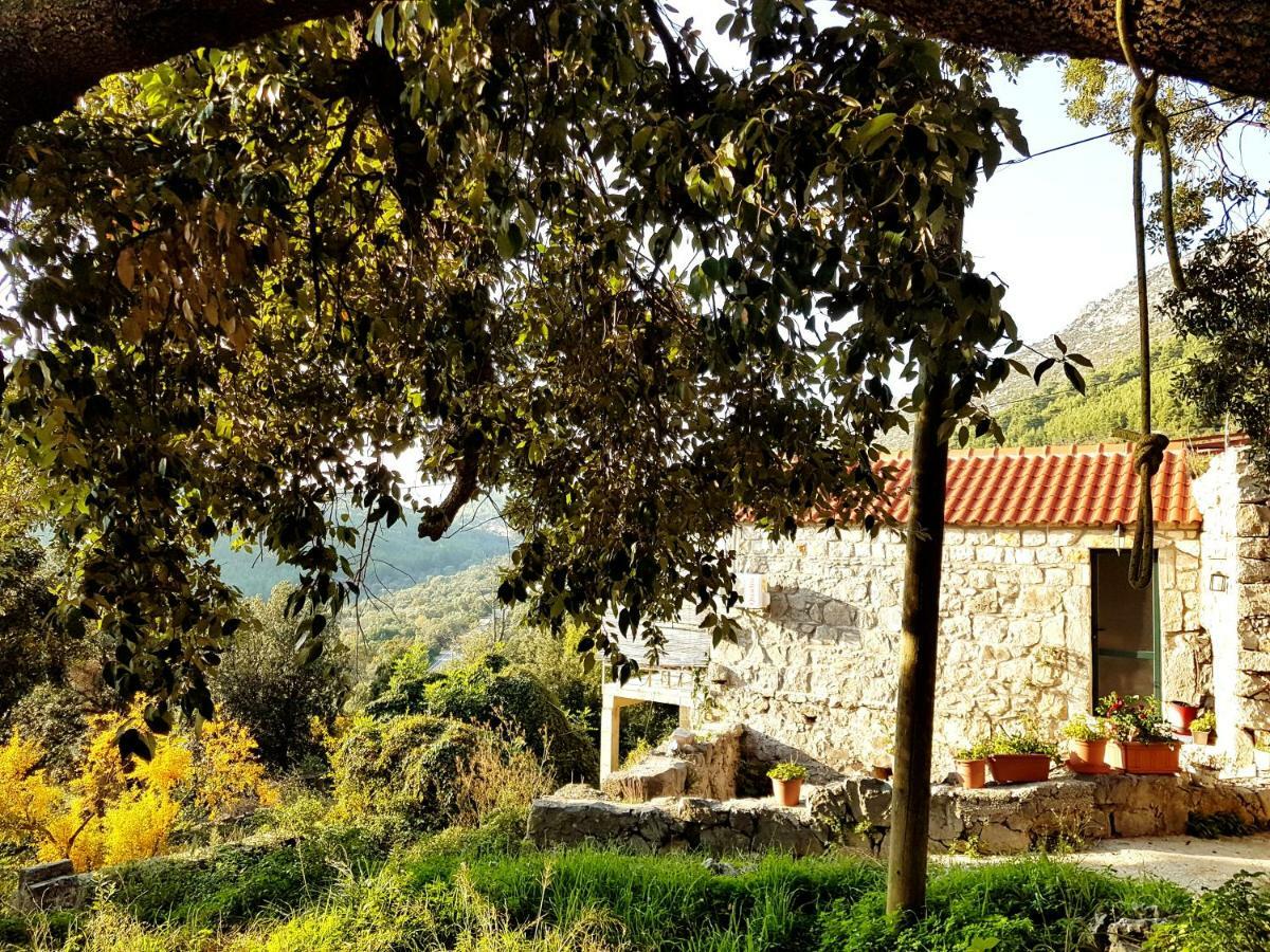 Cottage Melita The Apartment For Animal Lovers Babino Polje Exterior photo