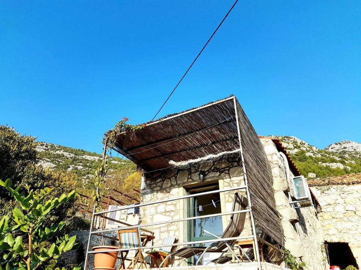Cottage Melita The Apartment For Animal Lovers Babino Polje Exterior photo